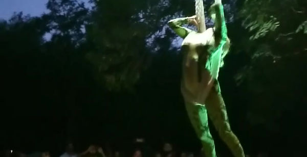 aerial net